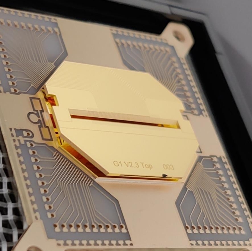 Trap chip for quantum computing